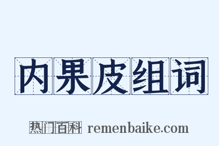内果皮组词是什么意思的图片